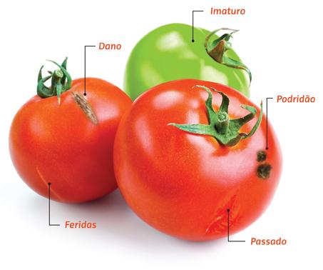 tomate